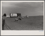 Sign near Mercersberg [i.e. Mercersburg], Pennsylvania.