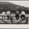Baseball game, Huntingdon, Pennsylvania.