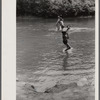 Swimming hole, Pine Grove Mills, Pennsylvania.