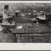 Little girl and playhouse, Pine Grove Mills, Pennsylvania.
