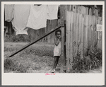 Child and laundry in alley dwelling area, Washington, D.C.