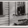 Negroes looking out of their home, Washington, D.C.