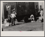 Negroes unloading crates and boxes to be used for firewood, alley dwelling area, Washington, D.C.