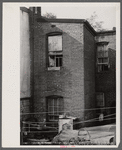 Alley dwelling area, Washington, D.C.