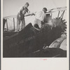 Loading "dust" (insect spray) into plane of agricultural crop spraying outfit. This particular group of flying insect killers follow the seasons from Florida to Jersey to New York State.
