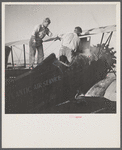 Loading "dust" (insect spray) into plane of agricultural crop spraying outfit. This particular group of flying insect killers follow the seasons from Florida to Jersey to New York State.