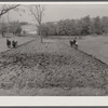 Small farm near Frederick, Maryland.