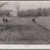 Small farm near Frederick, Maryland.