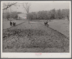 Small farm near Frederick, Maryland.