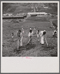 Young sons of resettlers in an outdoor class of the agricultural school. La Plata project. Puerto Rico.
