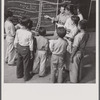 Classroom study in agricultural school for resettlers' children. La Plata project, Puerto Rico.