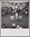 The beginning of the cock fight. When the man in the center raises the cloth, the birds will see each other and begin to fight. Puerto Rico.
