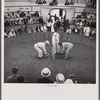 The beginning of the cock fight. When the man in the center raises the cloth, the birds will see each other and begin to fight. Puerto Rico.