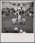 The beginning of the cock fight. When the man in the center raises the cloth, the birds will see each other and begin to fight. Puerto Rico.