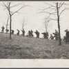 Planting trees at Zaleski Forest Project, Vinton County, Ohio.