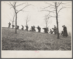 Planting trees at Zaleski Forest Project, Vinton County, Ohio.