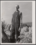 Vermont farmer near Lincoln, Vermont.