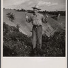 Old Jibaro, patriarch of a clan of twenty-one tobacco hillfarmers. Puerto Rico.