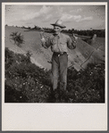Old Jibaro, patriarch of a clan of twenty-one tobacco hillfarmers. Puerto Rico.