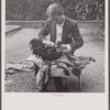 Trainer trimming fighting cock. Puerto Rico.