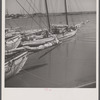 [Boats. Provincetown, Massachusetts?]
