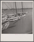 [Boats. Provincetown, Massachusetts?]