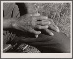 Tourist house, Truro. Hands of Portuguese from Cape Verde Islands. He has worked at fishing, and on the railroads, is now seventy and lives by boarding tourists during the short season. Truro, Massachusetts.