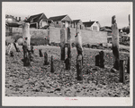 Ruins of fish pier with breakwater and new tourist cottages in the background. Provincetown, Massachusetts.