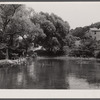 Swimming hole. Pine Grove Mills, Pennsylvania.