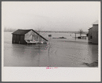 View taken from train en route to Forrest City, Arkansas from Memphis, Tennessee during the flood.