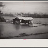 View taken from train en route to Forrest City, Arkansas from Memphis, Tennessee during the flood.