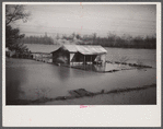 View taken from train en route to Forrest City, Arkansas from Memphis, Tennessee during the flood.