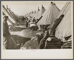A street of tents in the camp for flood refugees at Forrest City, Arkansas.