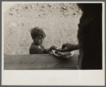 Small boy at mealtime in the camp for white flood refugees, Forrest City, Arkansas.