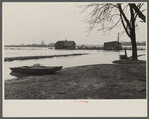 Flooded farmland near Ridgely, Tennessee.