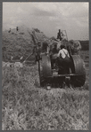 Threshing, Brookeville, Maryland.