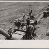 Threshing oats, Brookeville, Maryland.