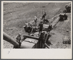Threshing oats, Brookeville, Maryland.