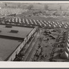 View of the camp for flood refugees. Forrest City, Arkansas.