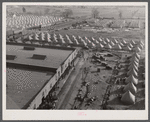 View of the camp for flood refugees. Forrest City, Arkansas.