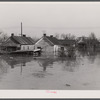 Memphis houses half submerged by the flood. Tennessee.