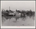 Memphis houses half submerged by the flood. Tennessee.