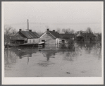Memphis houses half submerged by the flood. Tennessee.