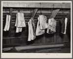 A homesteader's supply of pork, butchered and cured by himself on the Arthurdale project. Reedsville, West Virginia.