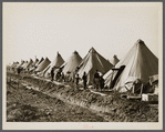 Flood refugee camp for Negroes from the bottom lands. Forrest City, Arkansas.