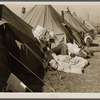 Tents in the flood refugee camp for Negroes from the bottom lands. Forrest City, Arkansas.
