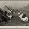Tents in the flood refugee camp for Negroes from the bottom lands. Forrest City, Arkansas.
