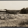 A marble storeyard. Ripley, Vermont.