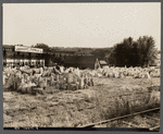 A marble storeyard. Ripley, Vermont.