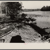 Part of the recreational area on Eastern Shore land use project, Maryland. This spot was formerly known as Milbourne Landing and in the days of plantations was visited by river craft.